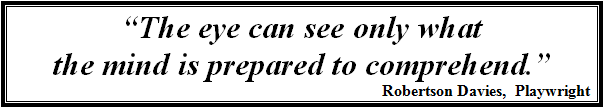 Robertson Davies Quote, What, How, Who, and Why We Help